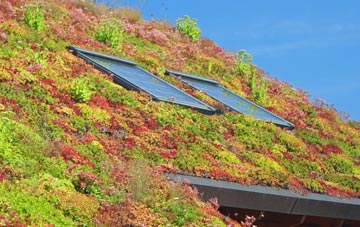 Burlawn living roof systems